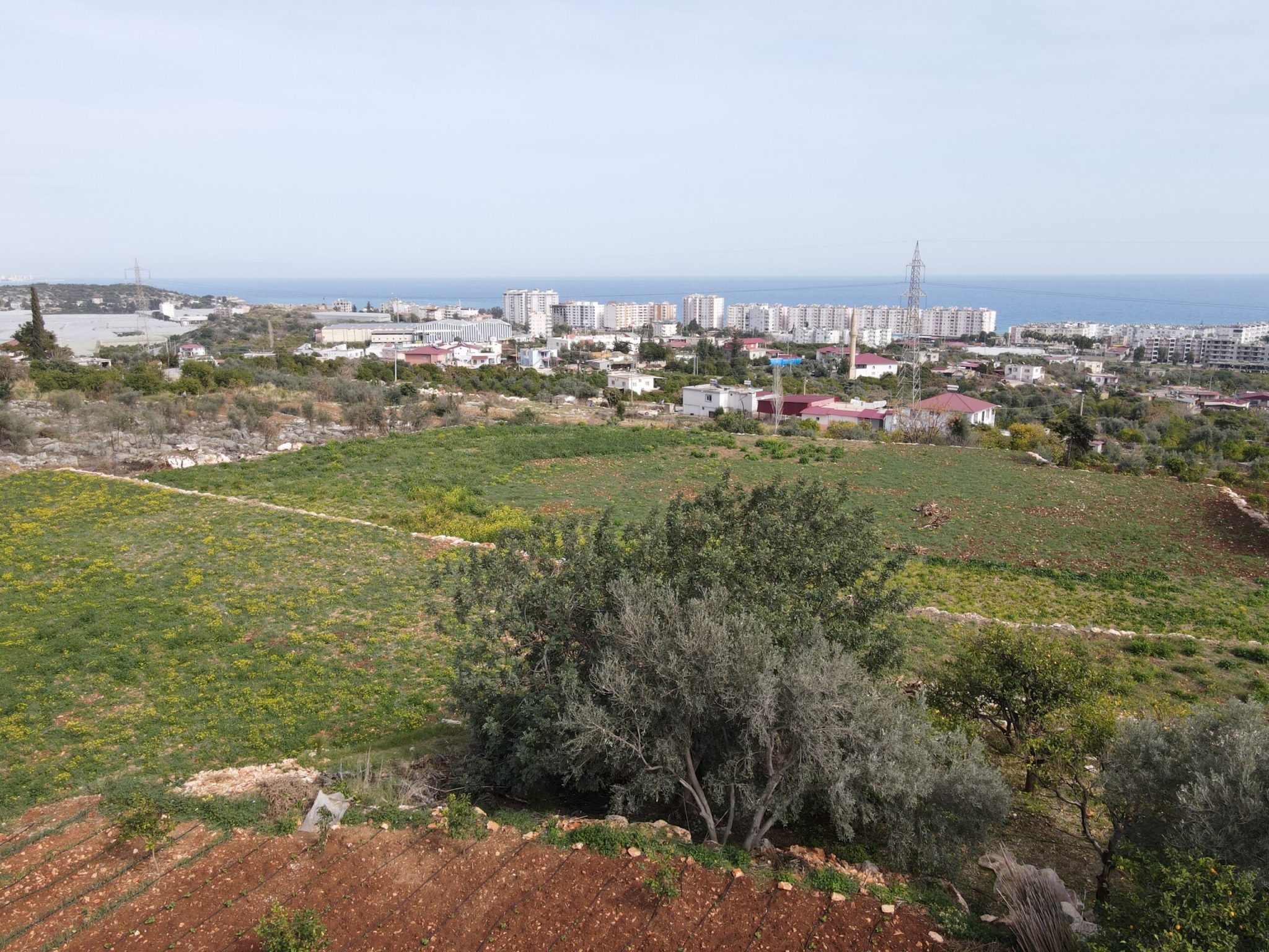 Mersin Erdemli Kumkuyu Tırtar Satılık Deniz Manzaralı Limon Bahçesi