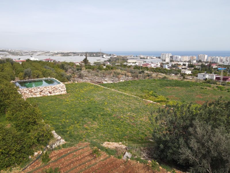 Mersin Erdemli Kumkuyu Tırtar Satılık Deniz Manzaralı Limon Bahçesi