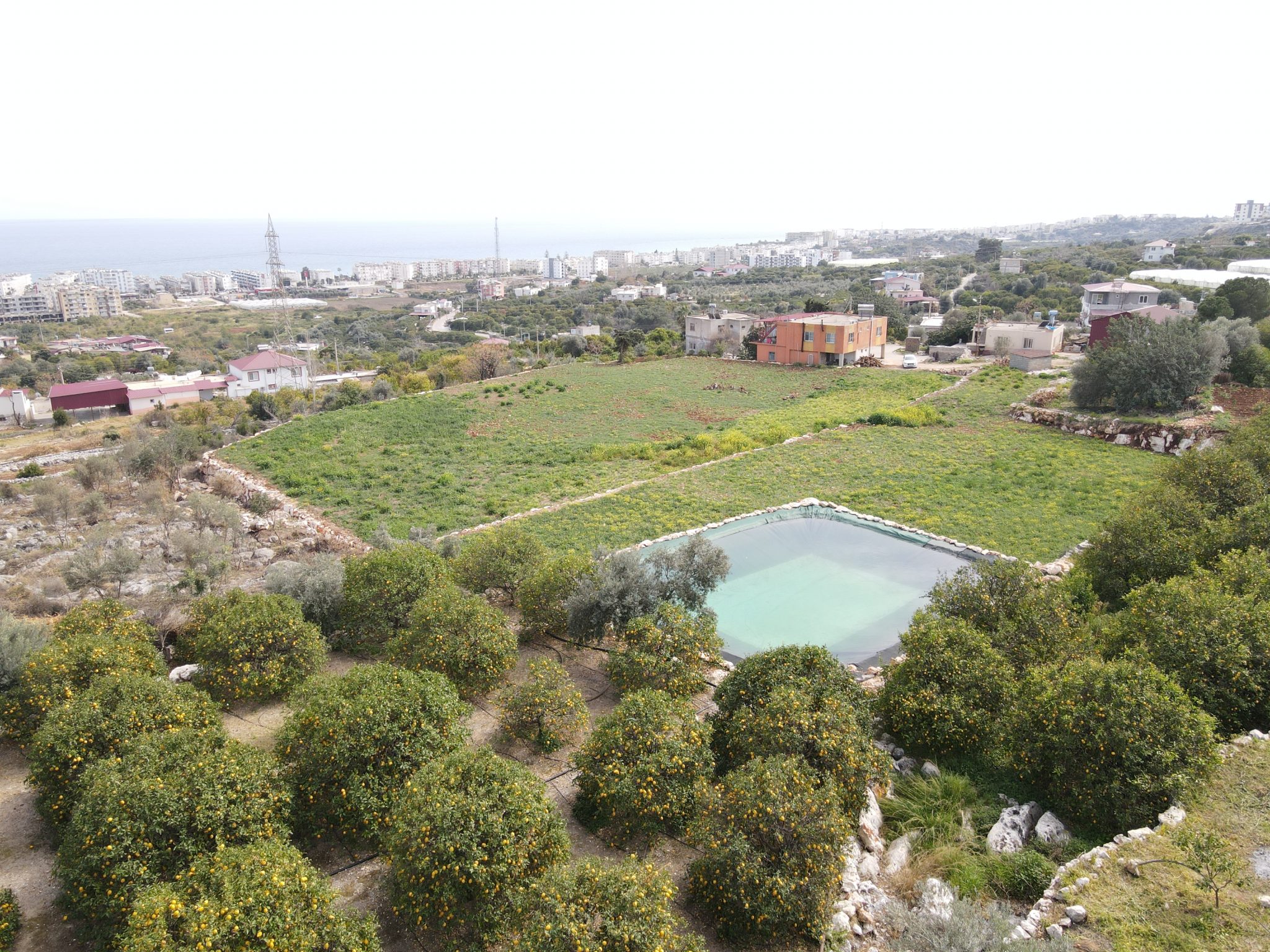 Mersin Erdemli Kumkuyu Tartar Lemon Garden mit Meerblick zu verkaufen
