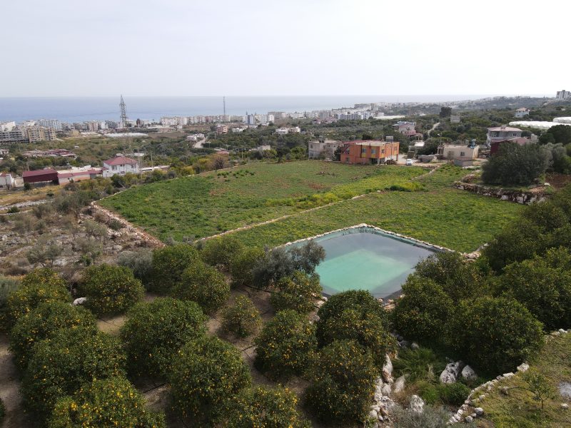 Mersin Erdemli Kumkuyu Tırtar Satılık Deniz Manzaralı Limon Bahçesi