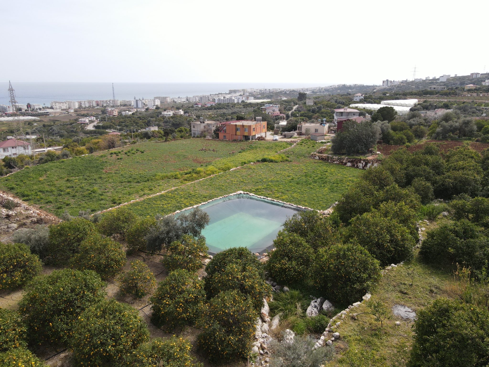 Mersin Erdemli Kumkuyu Tartar Lemon Garden mit Meerblick zu verkaufen