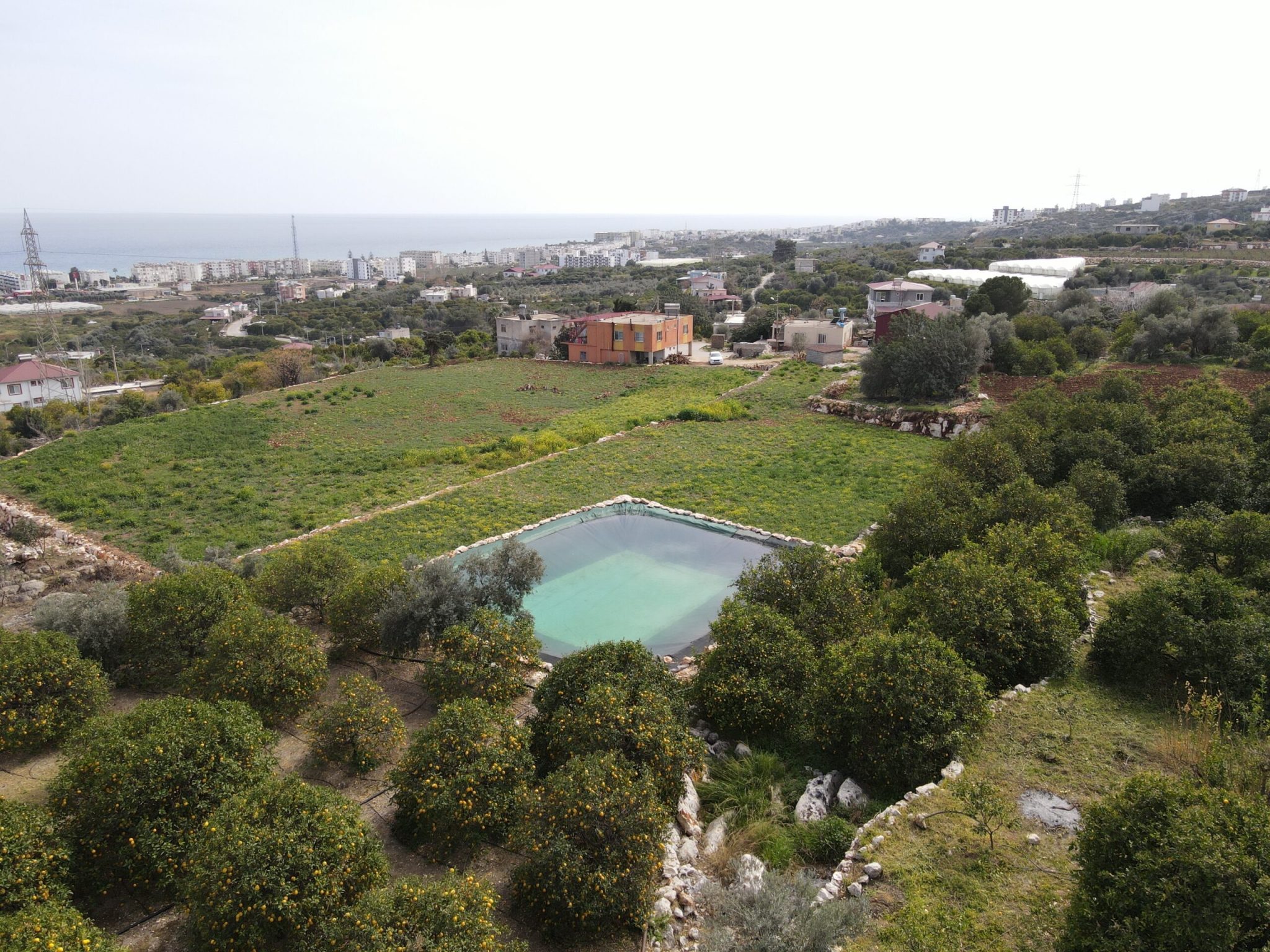 Mersin Erdemli Kumkuyu Tırtar Satılık Deniz Manzaralı Limon Bahçesi