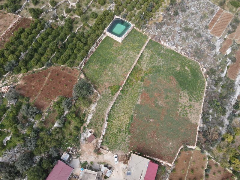 Mersin Erdemli Kumkuyu Tırtar Satılık Deniz Manzaralı Limon Bahçesi