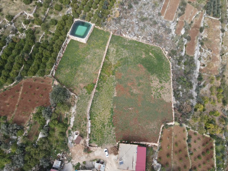 Mersin Erdemli Kumkuyu Tırtar Satılık Deniz Manzaralı Limon Bahçesi