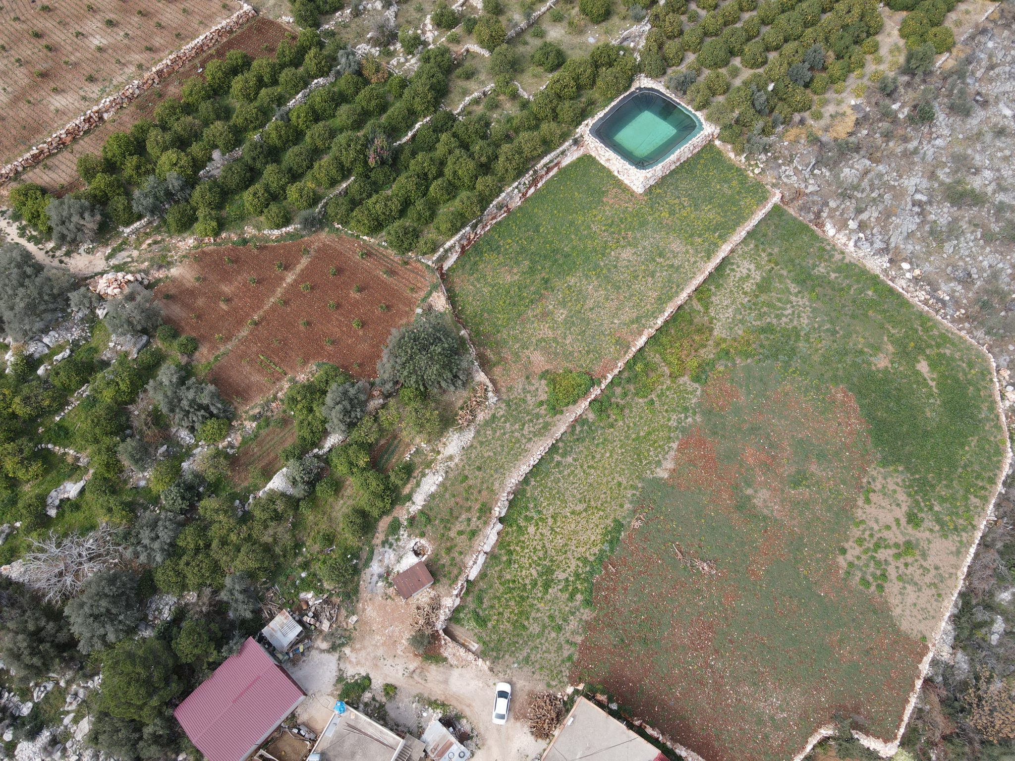 Mersin Erdemli Kumkuyu Tartar Lemon Garden mit Meerblick zu verkaufen