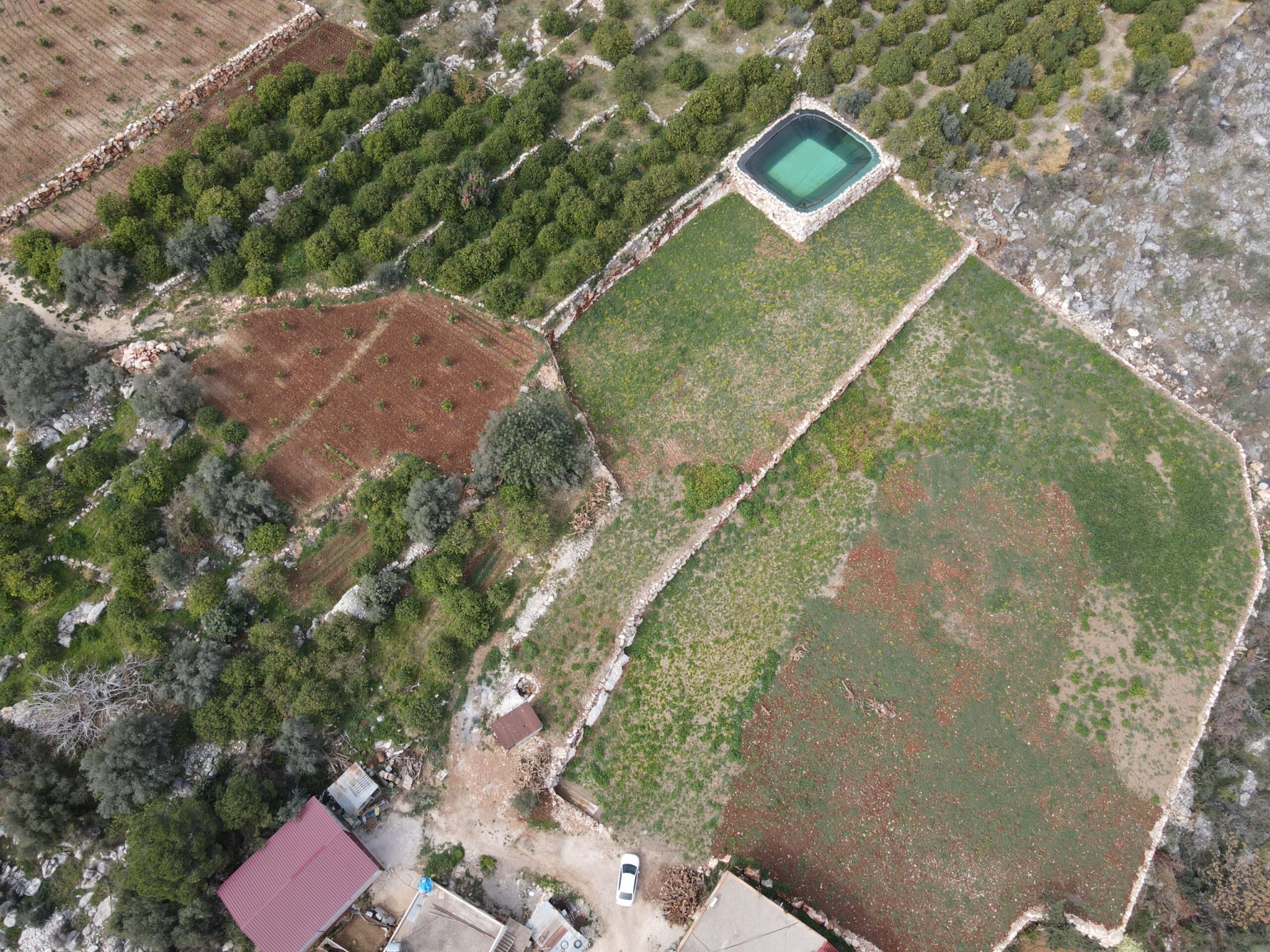 Mersin Erdemli Kumkuyu Tırtar Satılık Deniz Manzaralı Limon Bahçesi