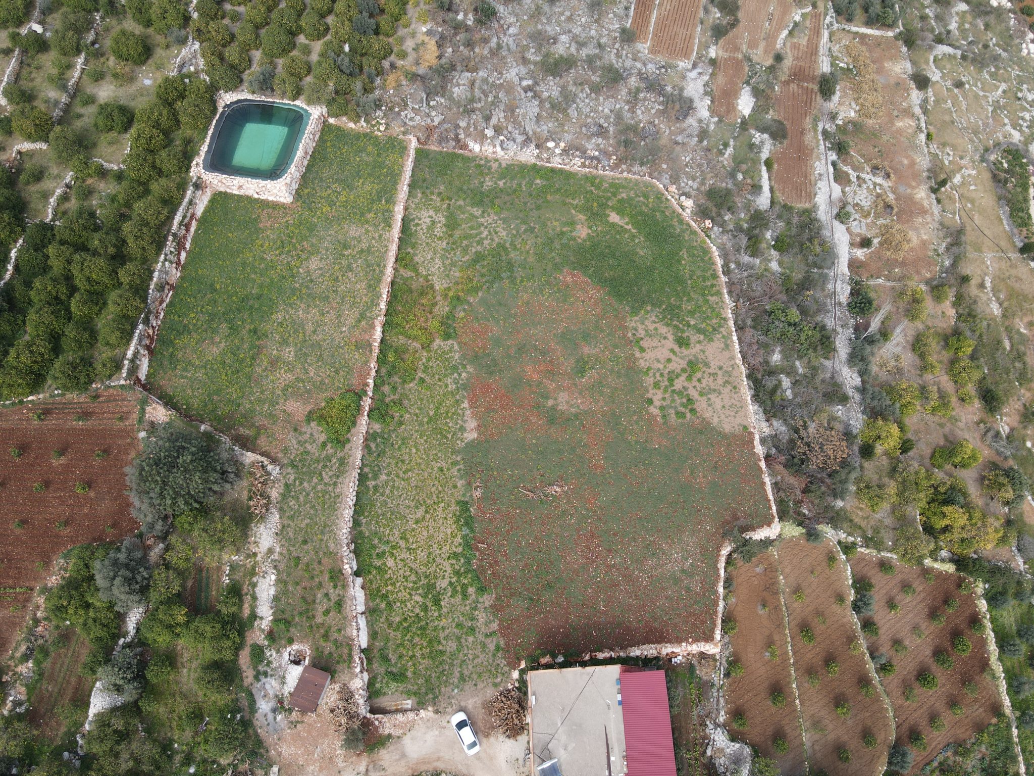 Mersin Erdemli Kumkuyu Tartar Lemon Garden mit Meerblick zu verkaufen