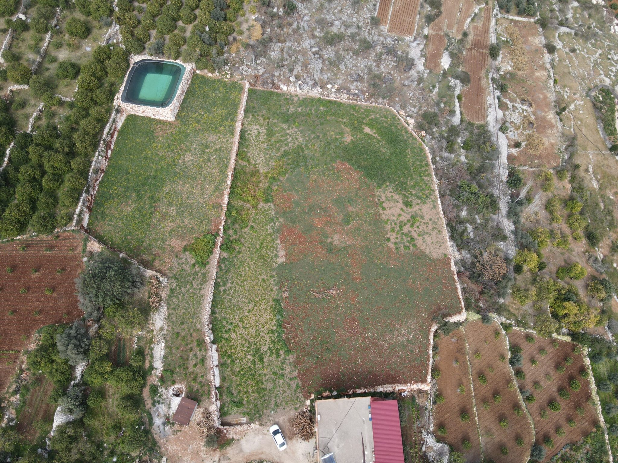 Mersin Erdemli Kumkuyu Tırtar Satılık Deniz Manzaralı Limon Bahçesi