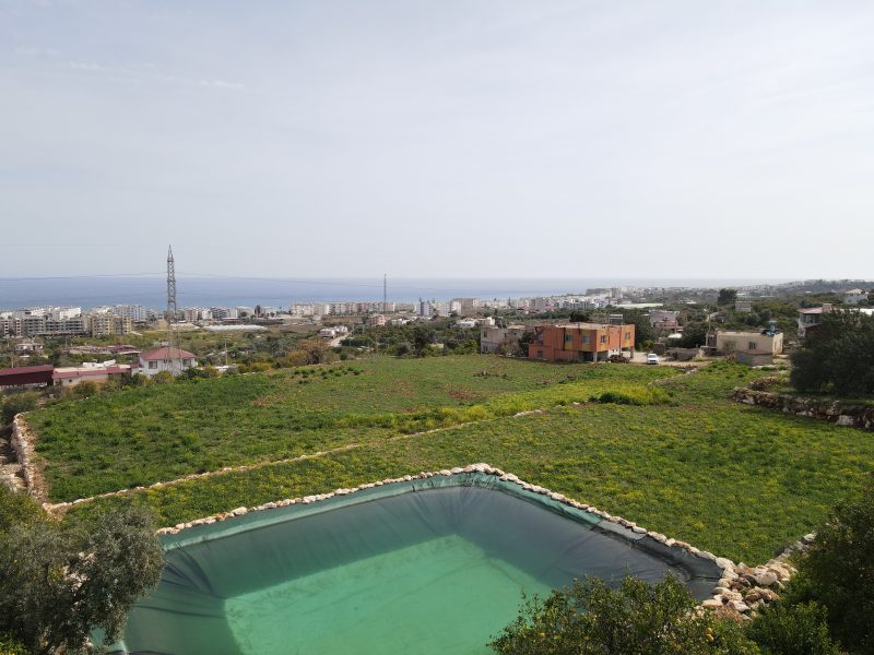 Mersin Erdemli Kumkuyu Tırtar Satılık Deniz Manzaralı Limon Bahçesi