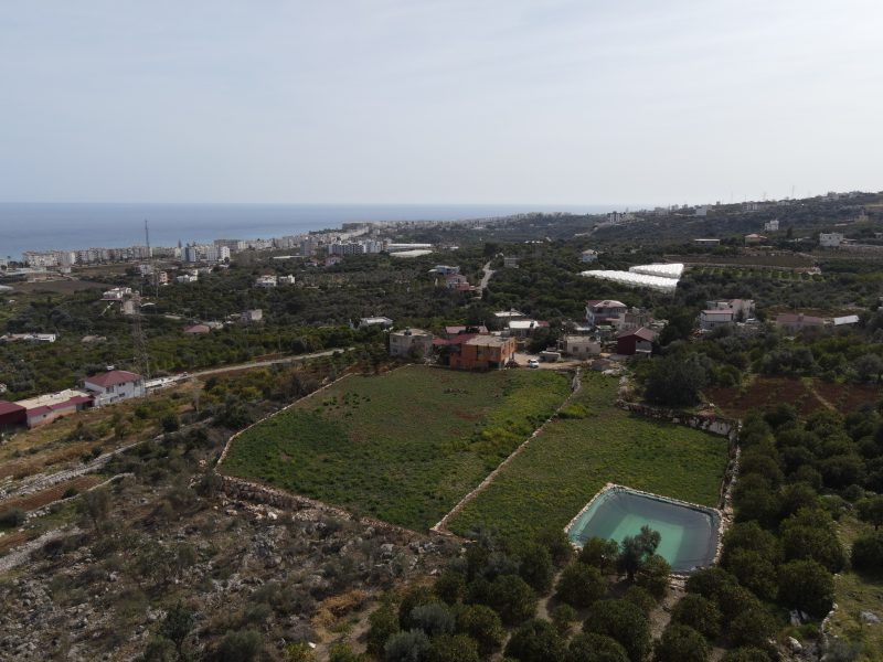Mersin Erdemli Kumkuyu Tırtar Satılık Deniz Manzaralı Limon Bahçesi