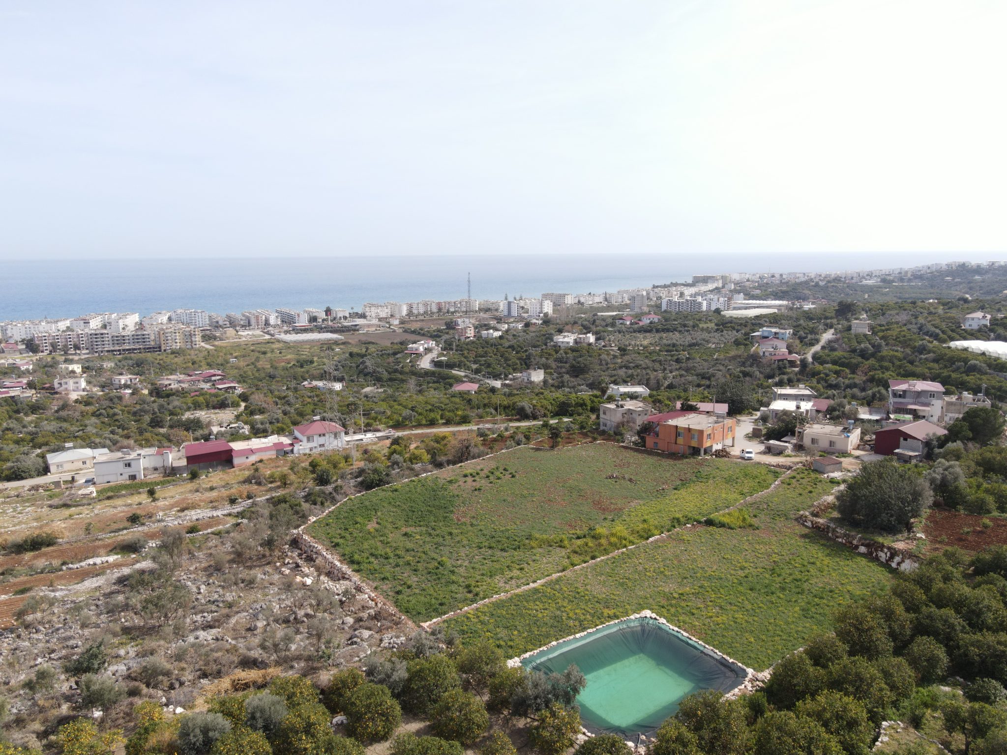 Mersin Erdemli Kumkuyu Tartar Lemon Garden mit Meerblick zu verkaufen