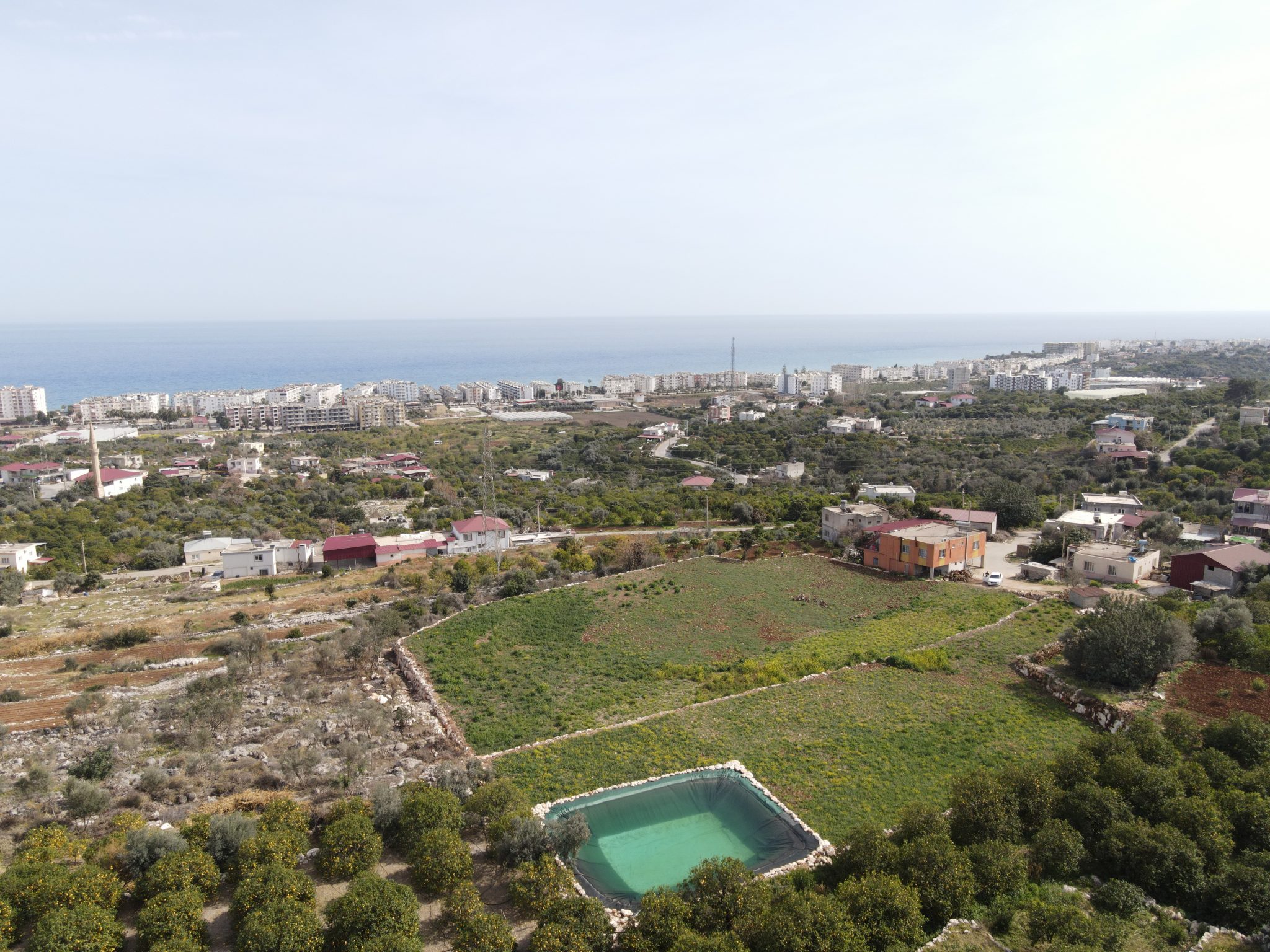 Mersin Erdemli Kumkuyu Tartar Lemon Garden mit Meerblick zu verkaufen