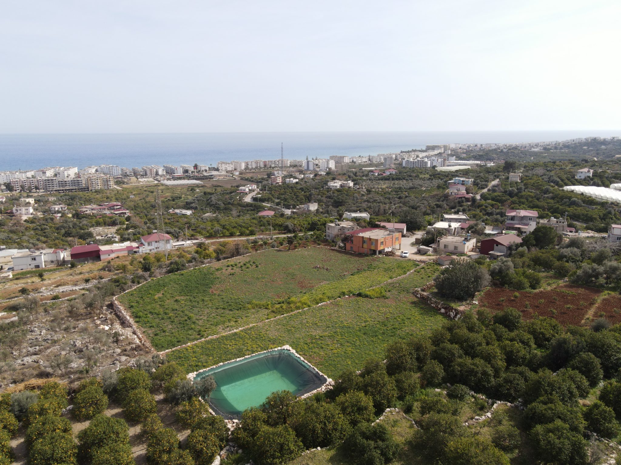 Mersin Erdemli Kumkuyu Tartar Lemon Garden mit Meerblick zu verkaufen