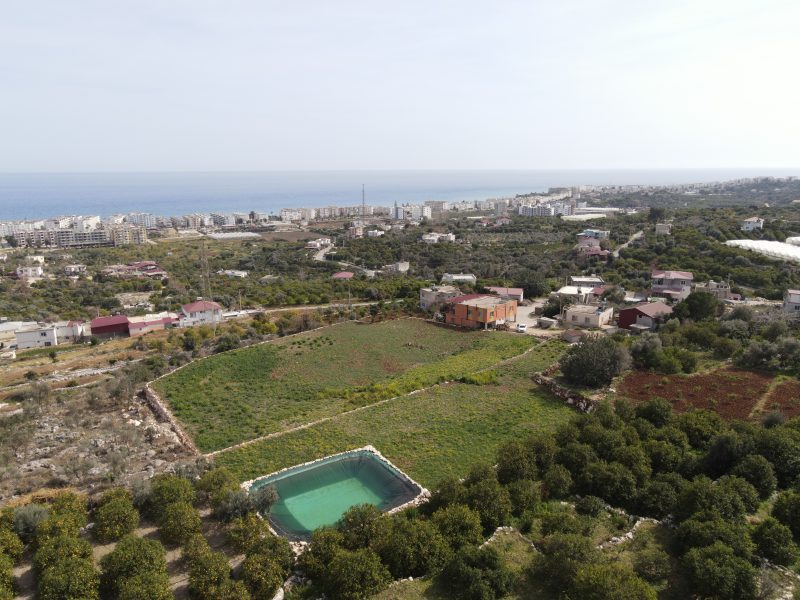 Mersin Erdemli Kumkuyu Tırtar Satılık Deniz Manzaralı Limon Bahçesi