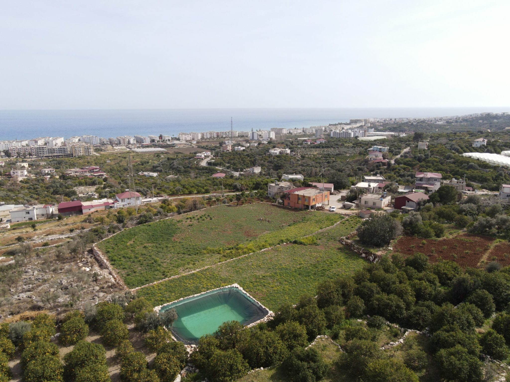 Mersin Erdemli Kumkuyu Tırtar Satılık Deniz Manzaralı Limon Bahçesi