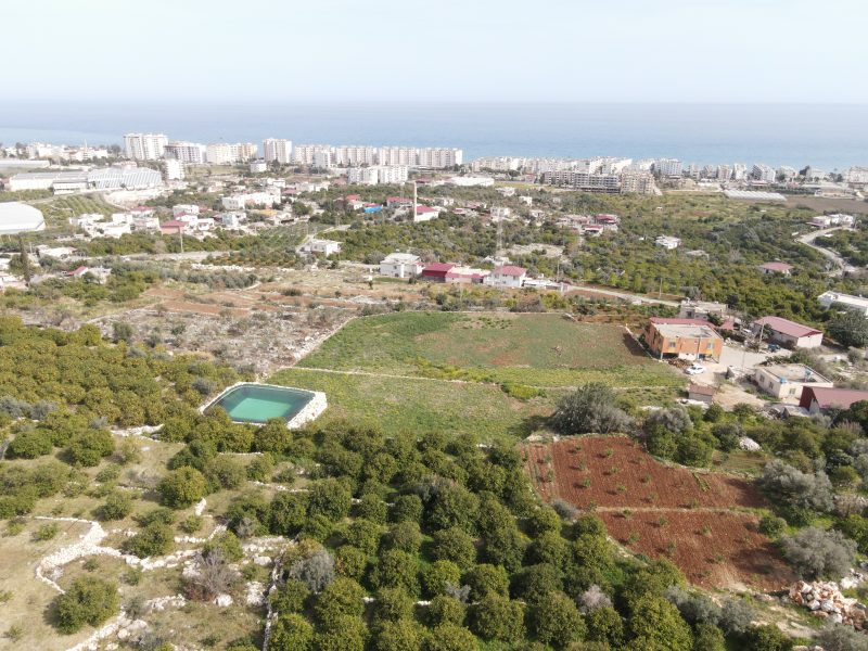 Mersin Erdemli Kumkuyu Tırtar Satılık Deniz Manzaralı Limon Bahçesi