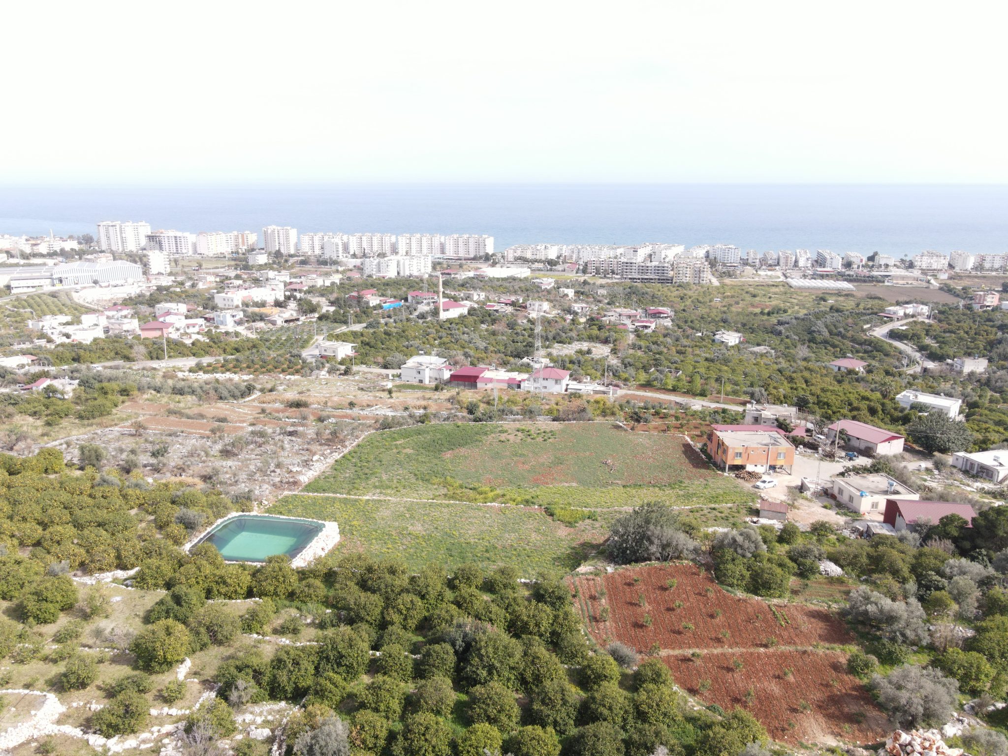 Mersin Erdemli Kumkuyu Tartar Lemon Garden mit Meerblick zu verkaufen