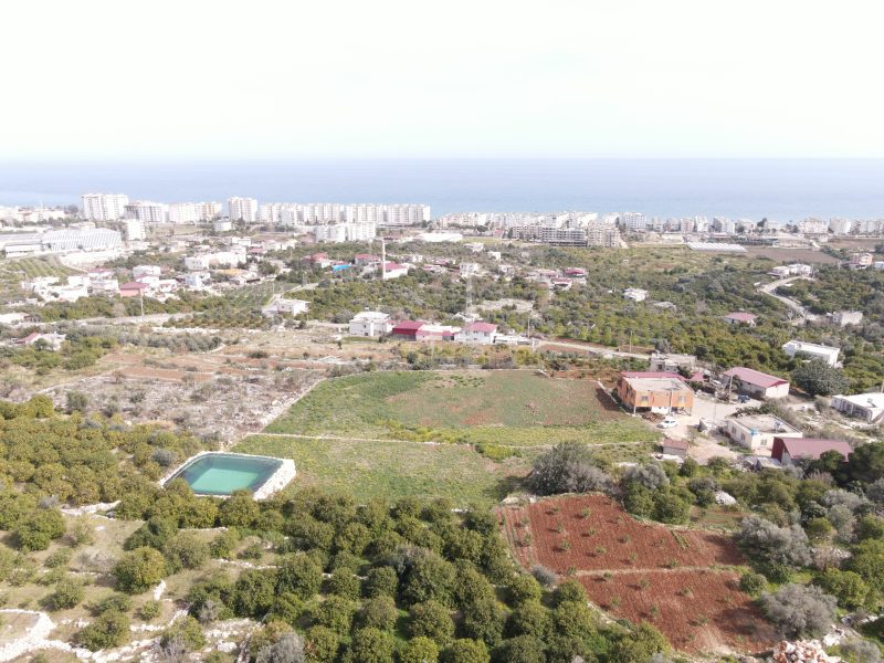 Mersin Erdemli Kumkuyu Tırtar Satılık Deniz Manzaralı Limon Bahçesi
