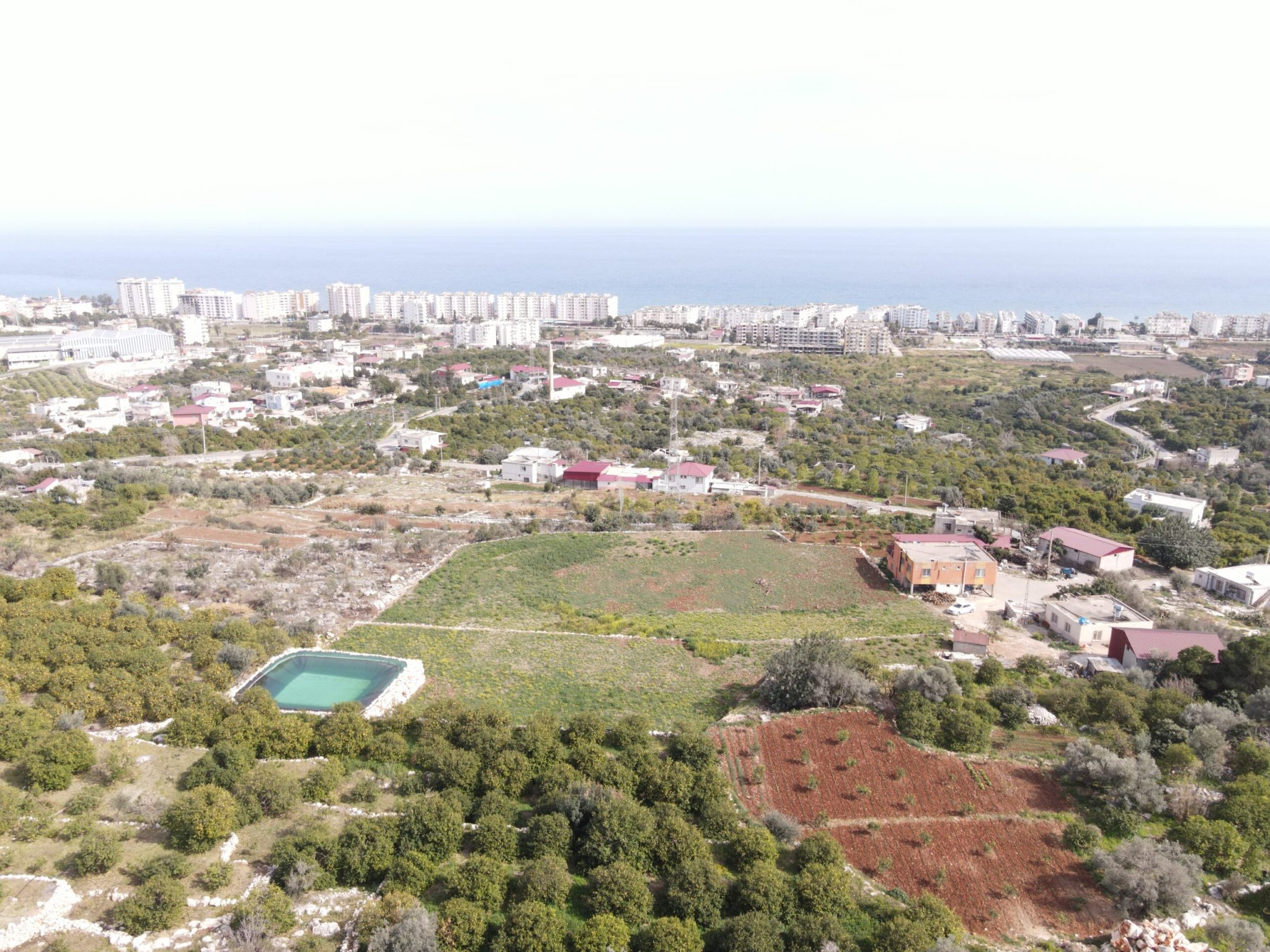 Mersin Erdemli Kumkuyu Tırtar Satılık Deniz Manzaralı Limon Bahçesi