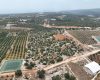 MERSİN SİLİFKE HASANALİLERDE BUNGALOV İZİNLİ SATILIK KUPON TARLA