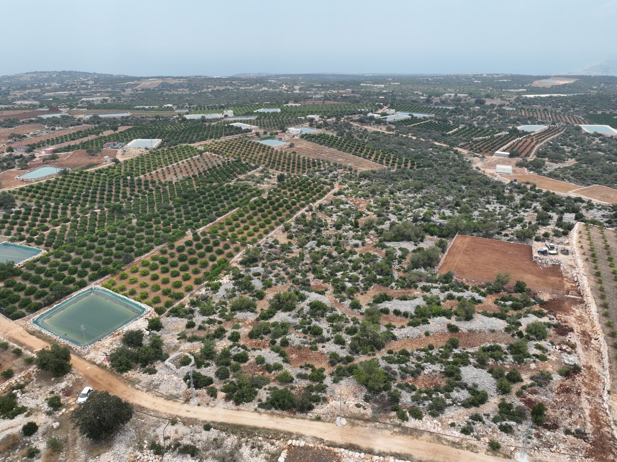 Coupon-FELD ZUM VERKAUF MIT BUNGALOV-ERLAUBNIS IN MERSİN SİLİFKE HASANALİLER