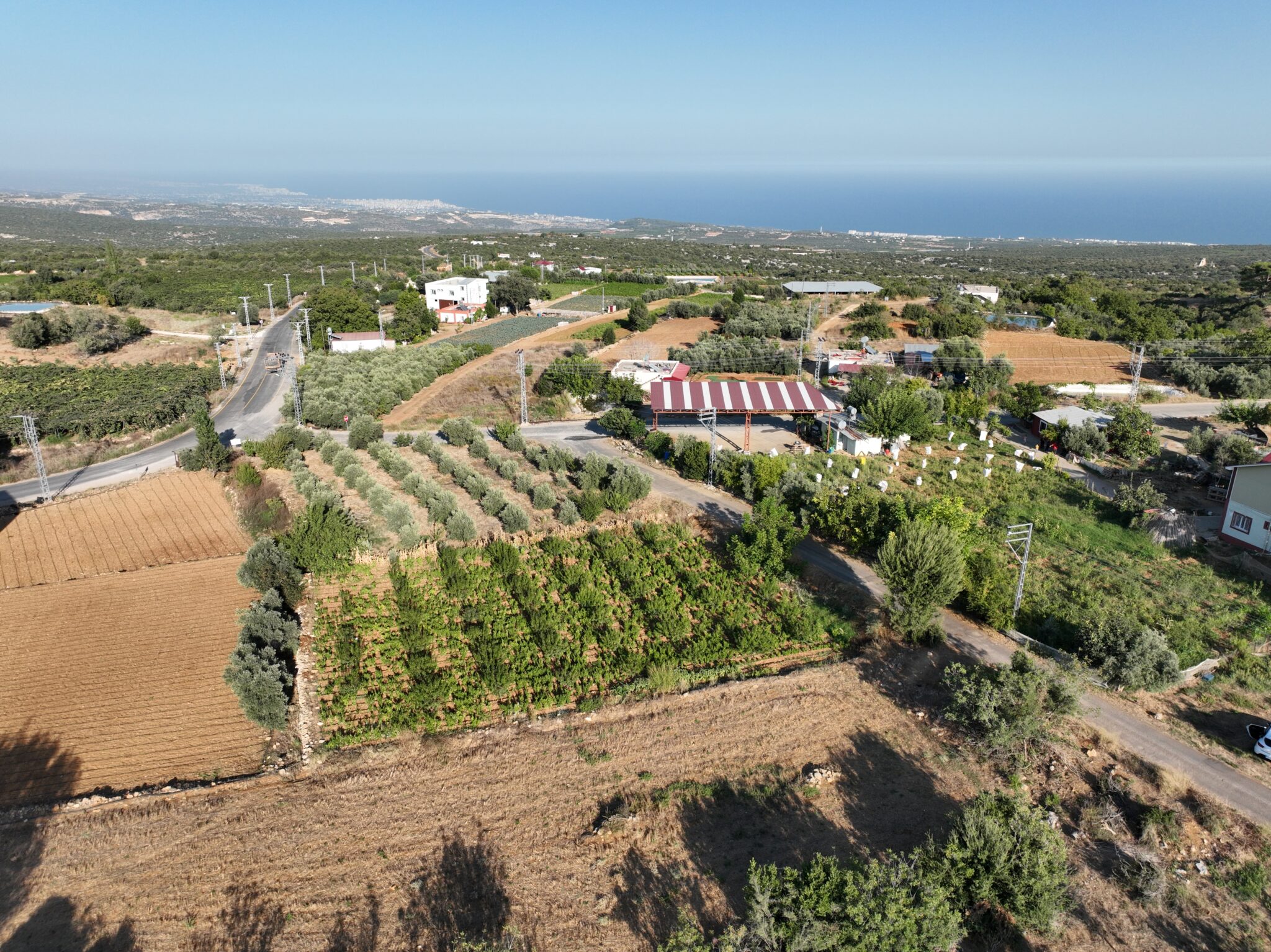 Mersin Erdemli Esenpınar Ağlıca Satılık Tarla