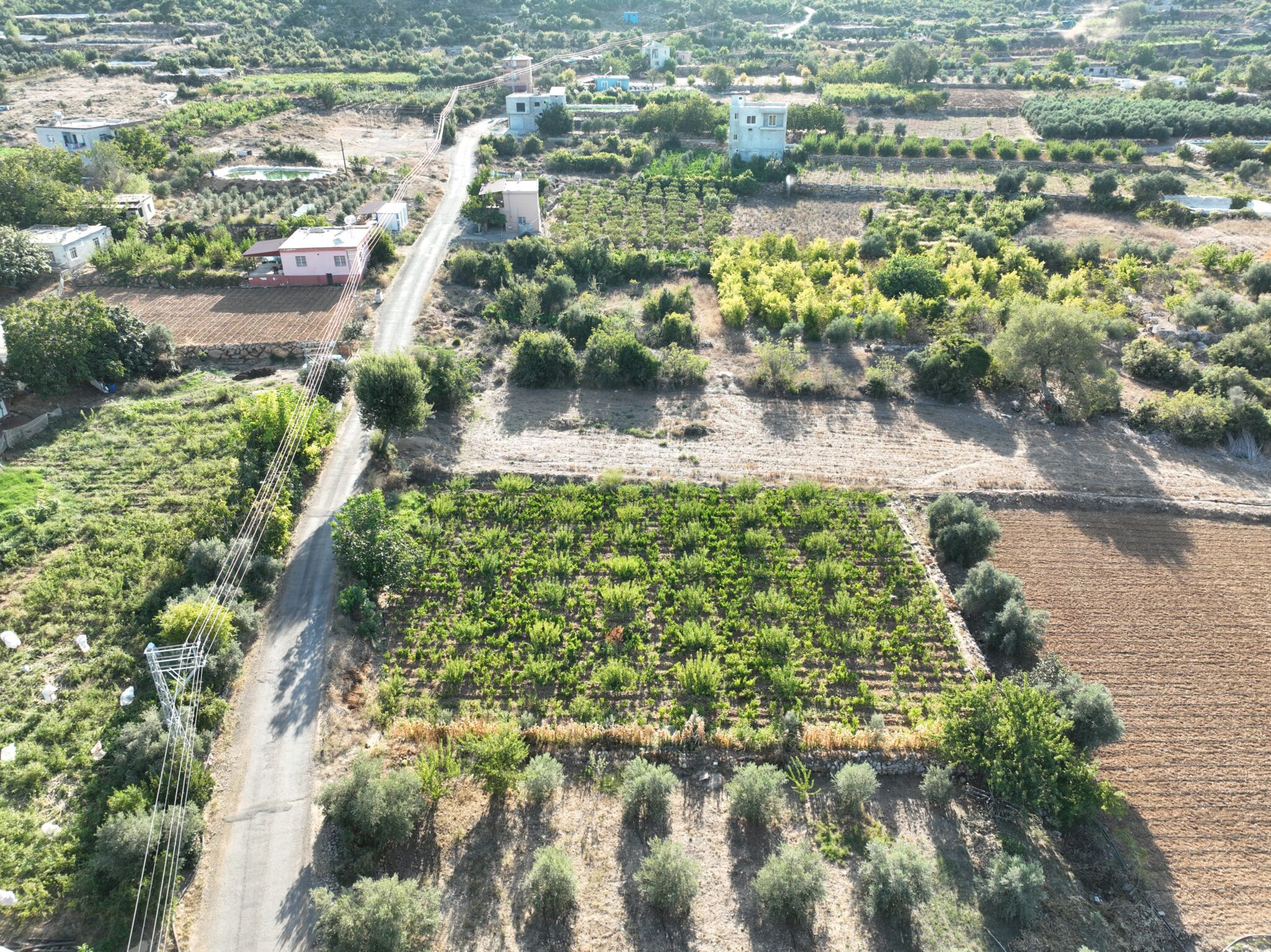 Mersin Erdemli Esenpınar Ağlıca Satılık Tarla