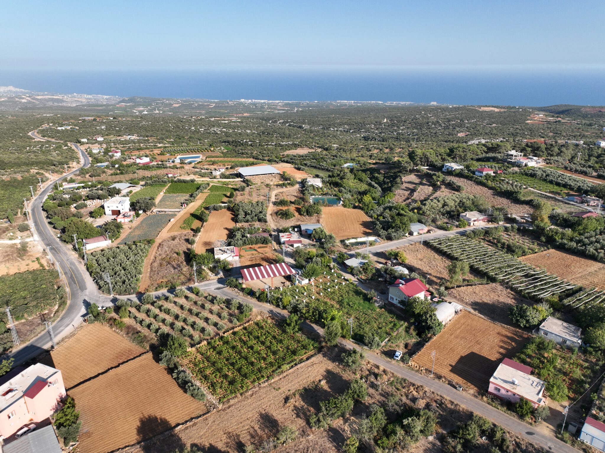 Mersin Erdemli Esenpınar Ağlıca Satılık Tarla