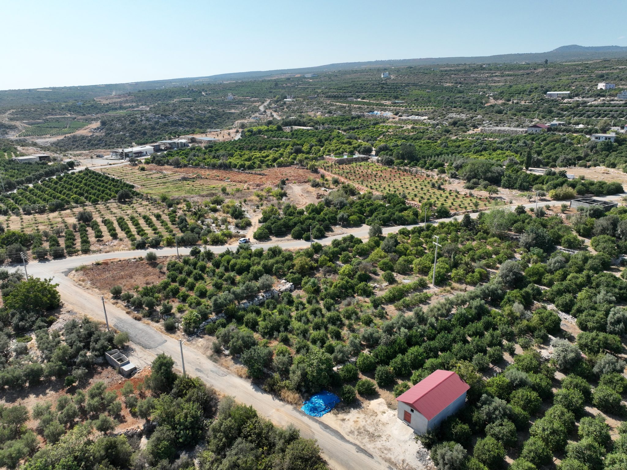 Zitronengarten zu verkaufen mit Meerblick in Mersin Erdemli Tartar