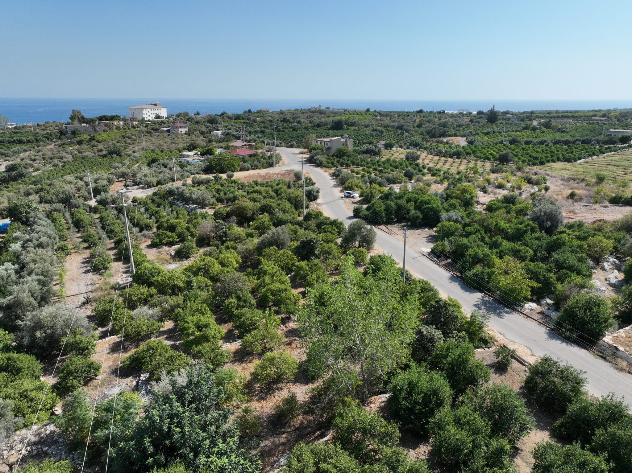 Zitronengarten zu verkaufen mit Meerblick in Mersin Erdemli Tartar