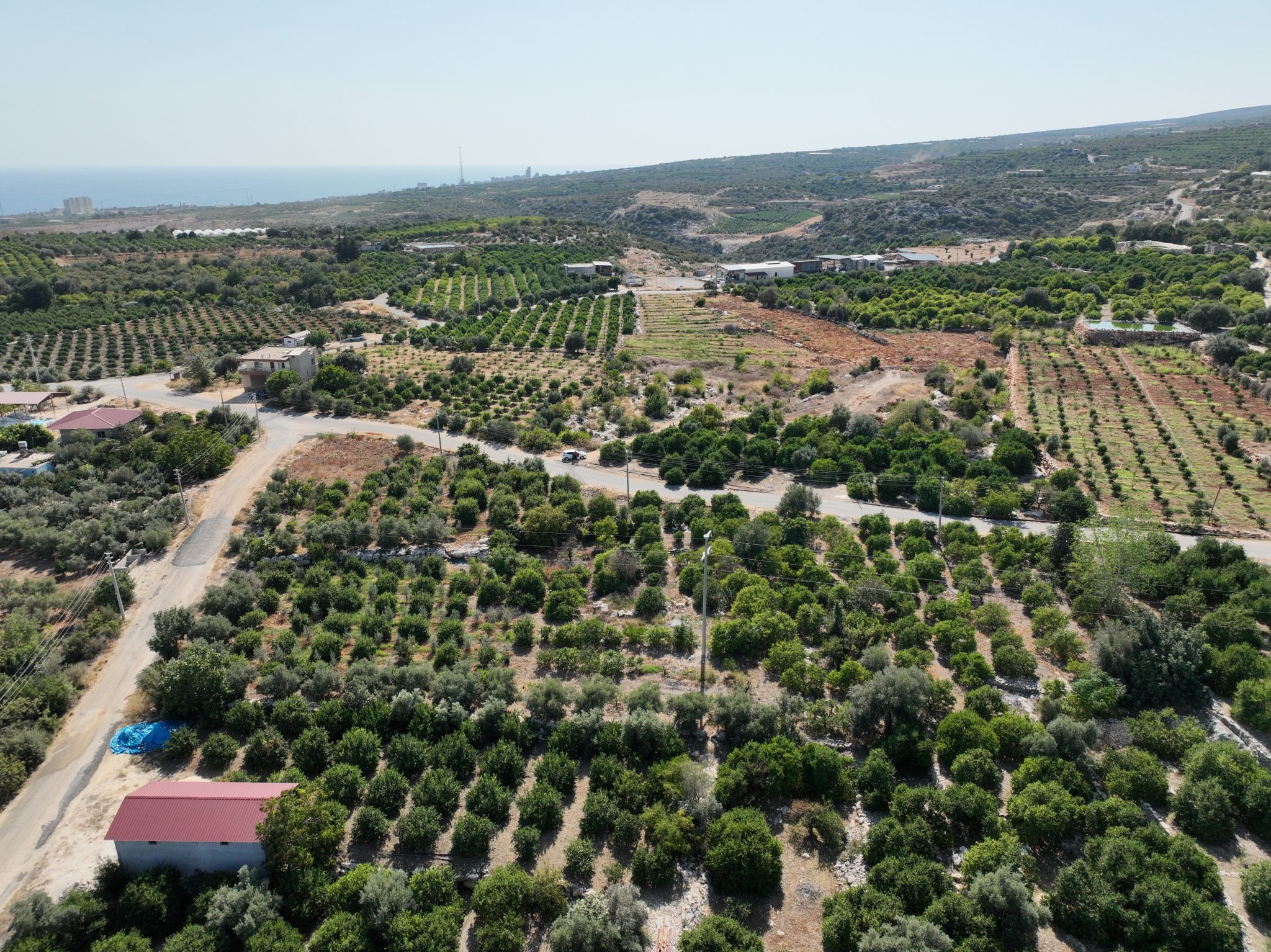 Zitronengarten zu verkaufen mit Meerblick in Mersin Erdemli Tartar