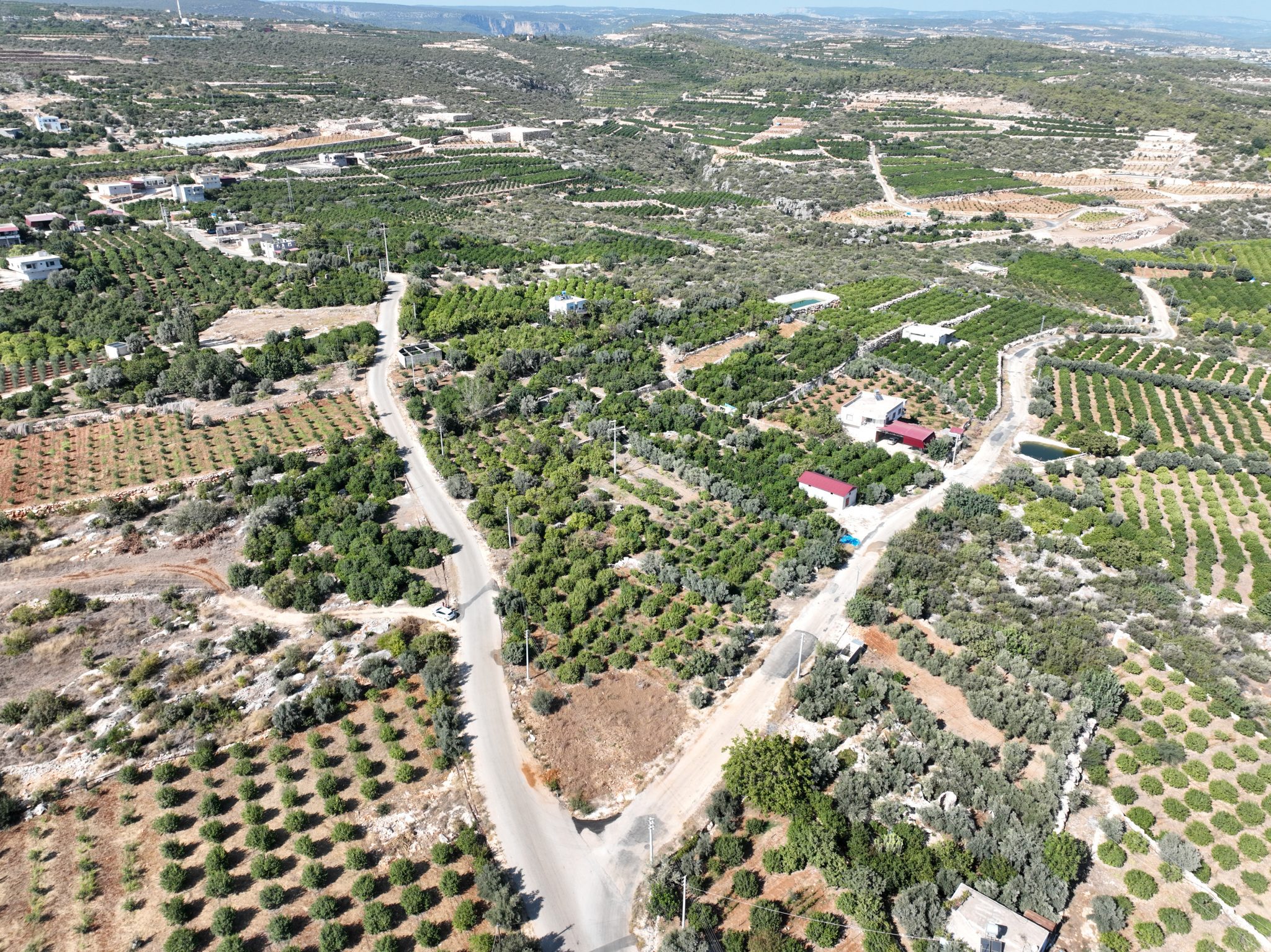 Zitronengarten zu verkaufen mit Meerblick in Mersin Erdemli Tartar