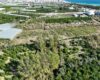 Mersin Erdemli Koyuncu Satılık 1.858 m2 Tarla