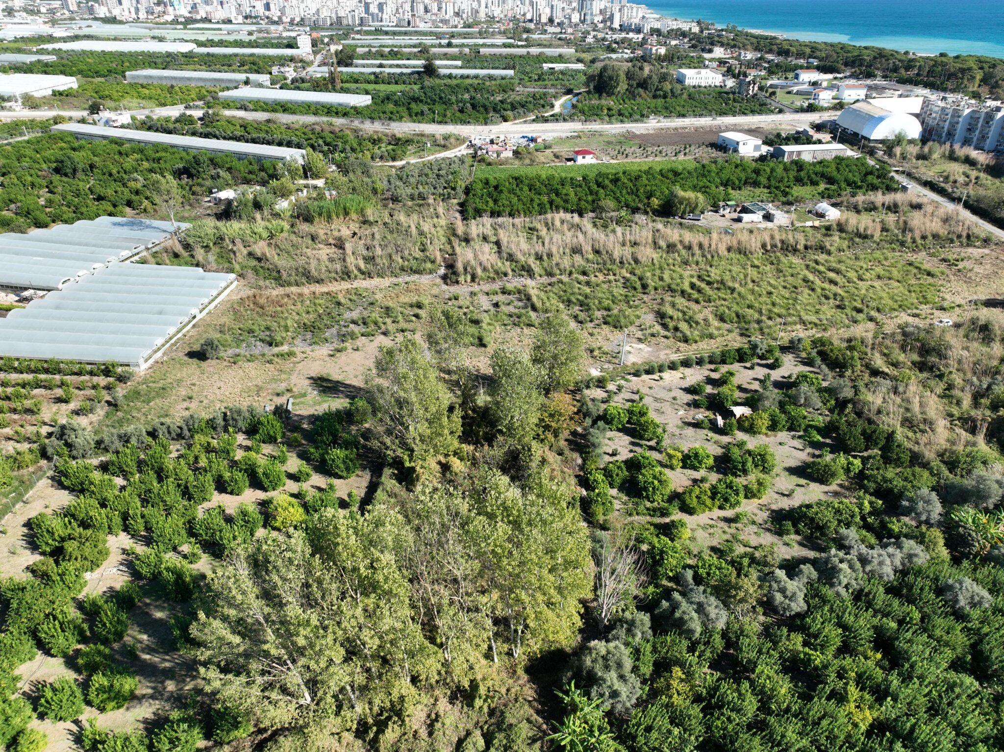 Mersin Erdemli Koyuncu Satılık 1.858 m2 Tarla