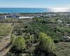 Mersin Erdemli Koyuncu Satılık 1.858 m2 Tarla