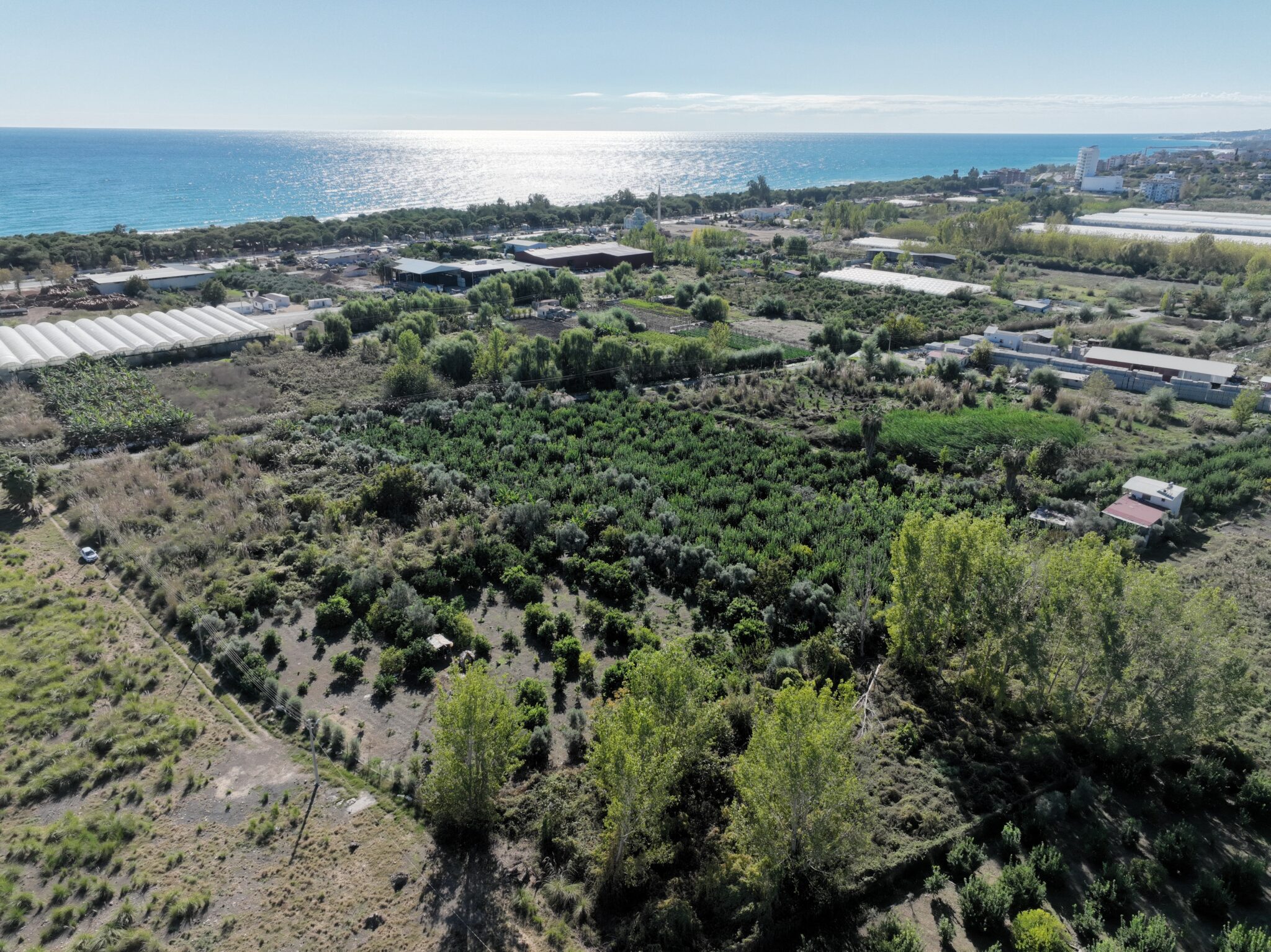 Mersin Erdemli Koyuncu Satılık 1.858 m2 Tarla