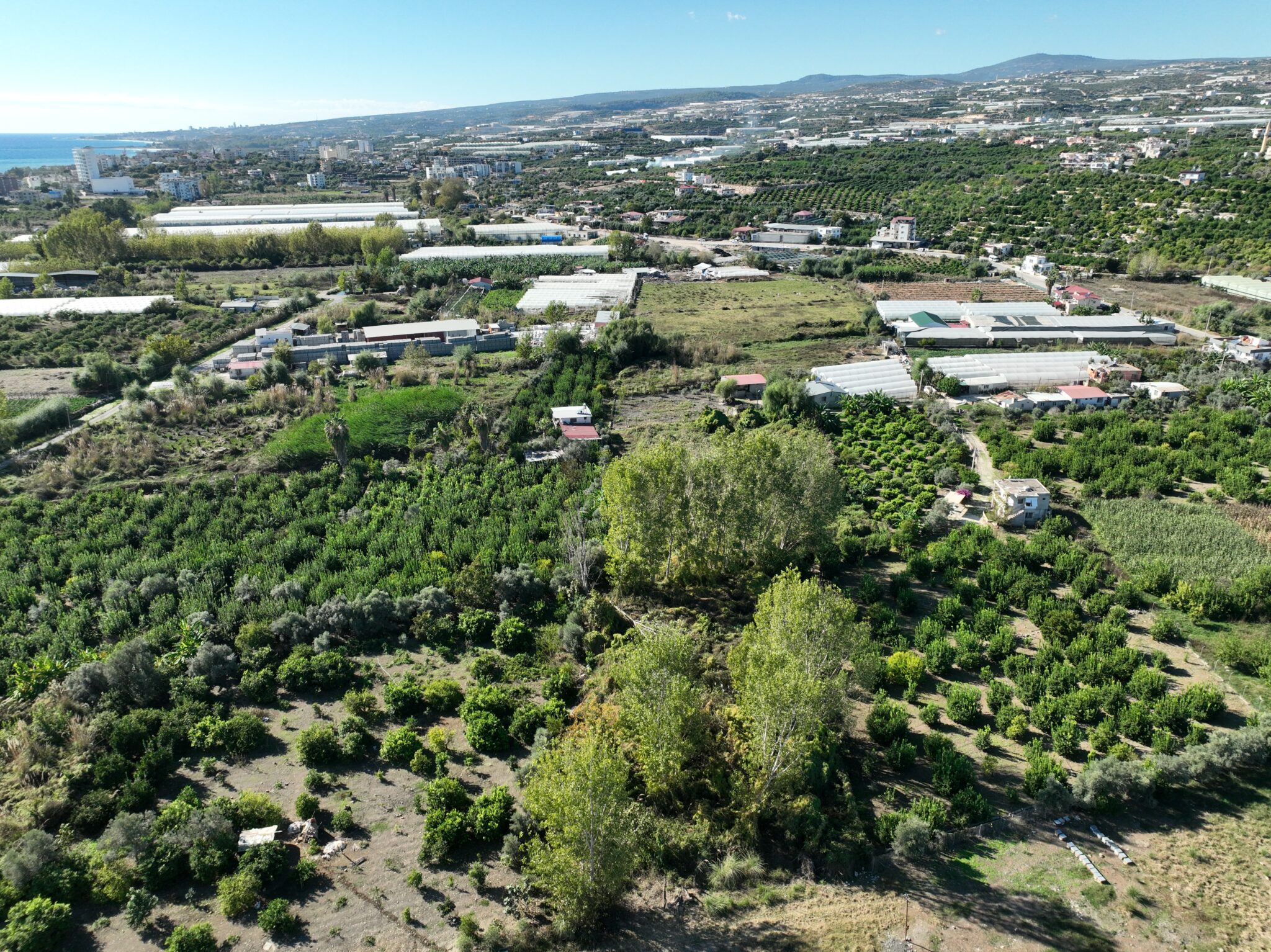 Mersin Erdemli Koyuncu Satılık 1.858 m2 Tarla