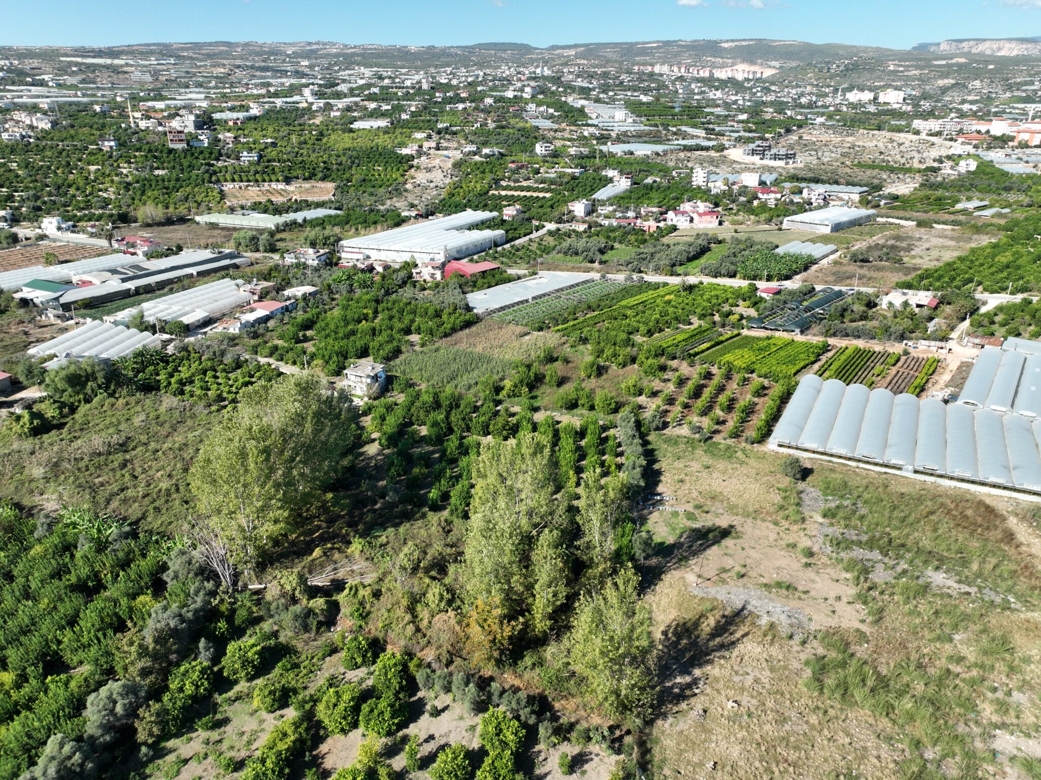 Mersin Erdemli Koyuncu Satılık 1.858 m2 Tarla