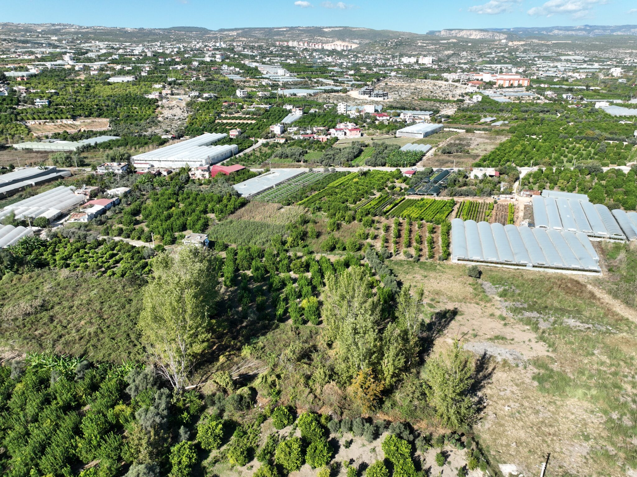 Mersin Erdemli Koyuncu Satılık 1.858 m2 Tarla