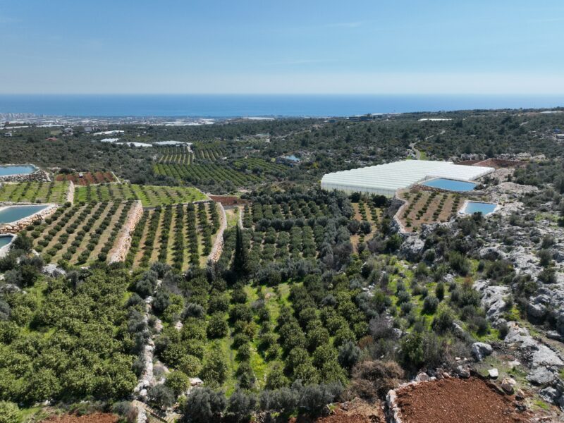 Mersin Erdemli Koyuncu Deniz Manzaralı Satılık Arazi