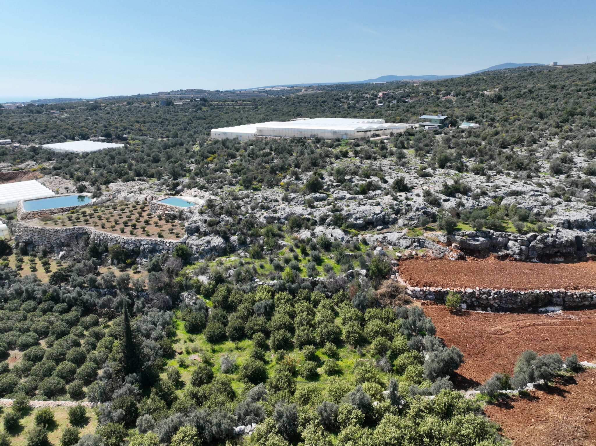 Mersin Erdemli Koyuncu Deniz Manzaralı Satılık Arazi