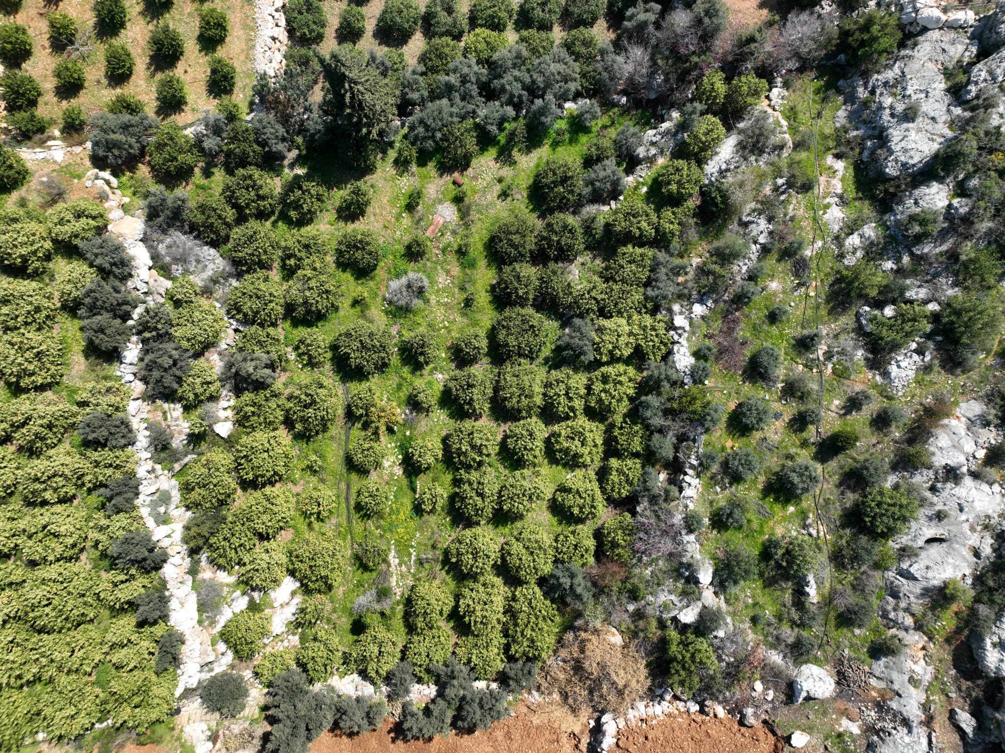 Mersin Erdemli Koyuncu Deniz Manzaralı Satılık Arazi
