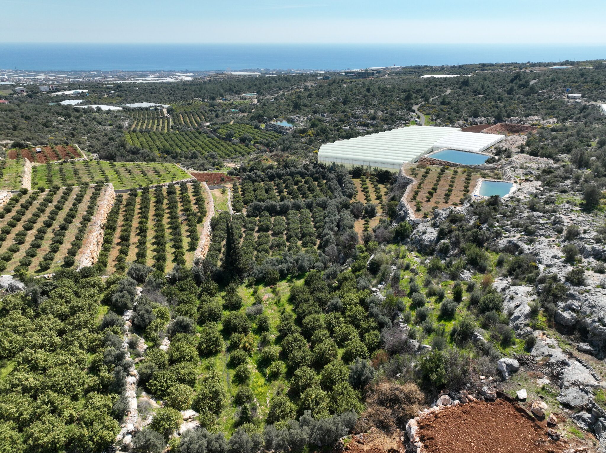 Mersin Erdemli Koyuncu Deniz Manzaralı Satılık Arazi