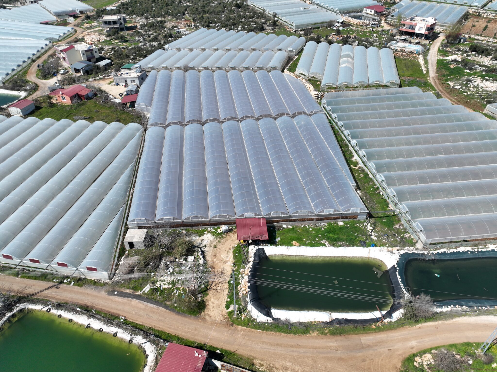 Mersin Erdemli Kayacı Satılık Sera