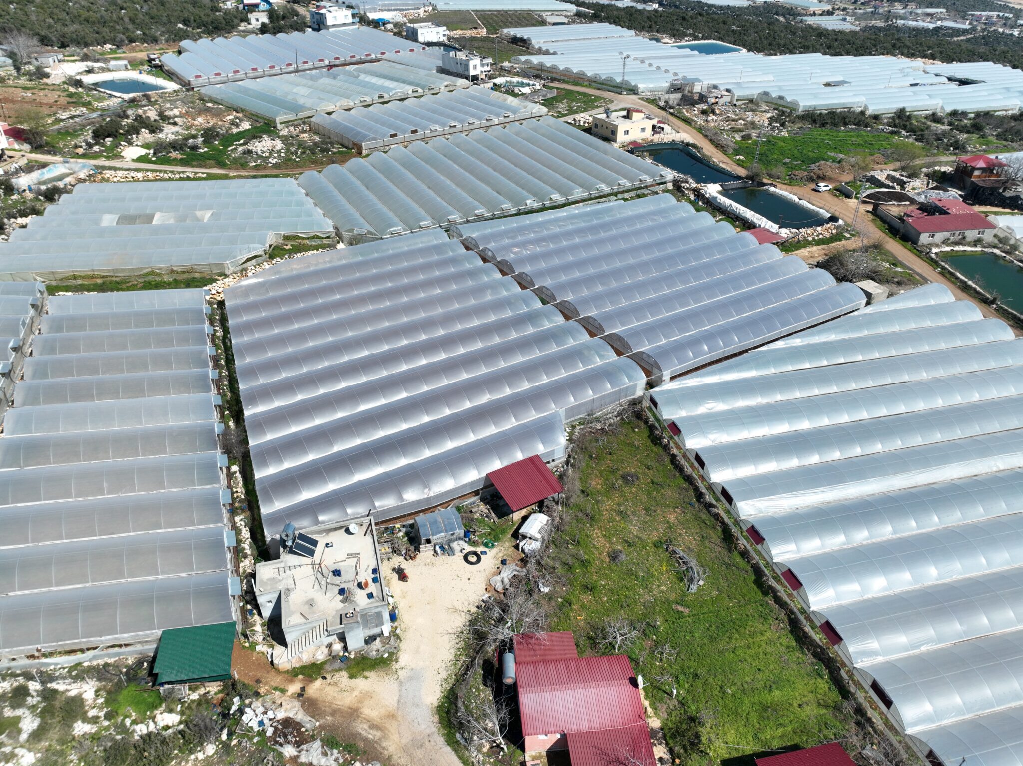 Mersin Erdemli Kayacı Satılık Sera