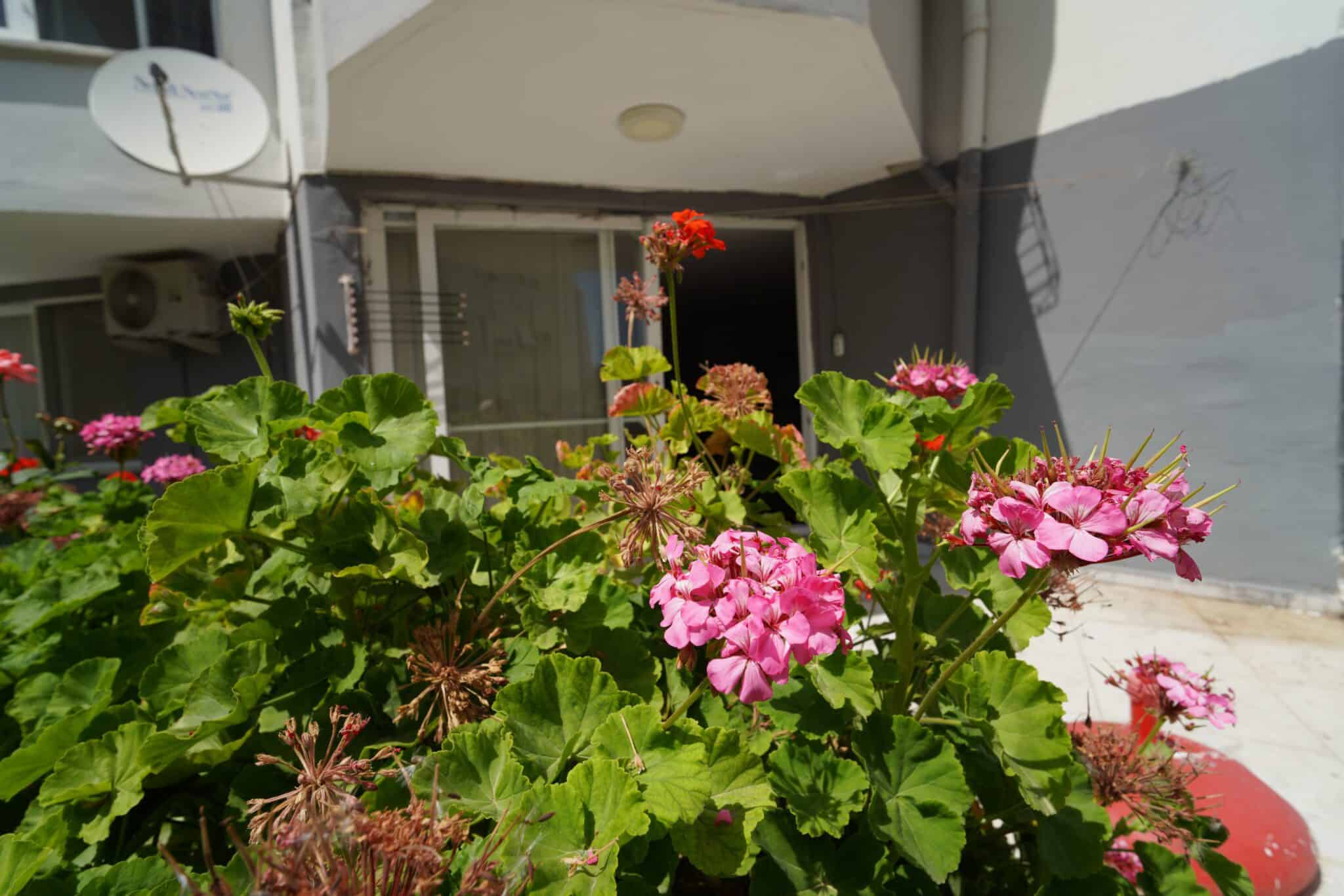Mersin Erdemli Talas Çamlık Sitesi Satılık 2+1 Yazlık Daire