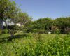 Mersin Erdemli Talas Çamlık Sitesi Satılık 2+1 Yazlık Daire