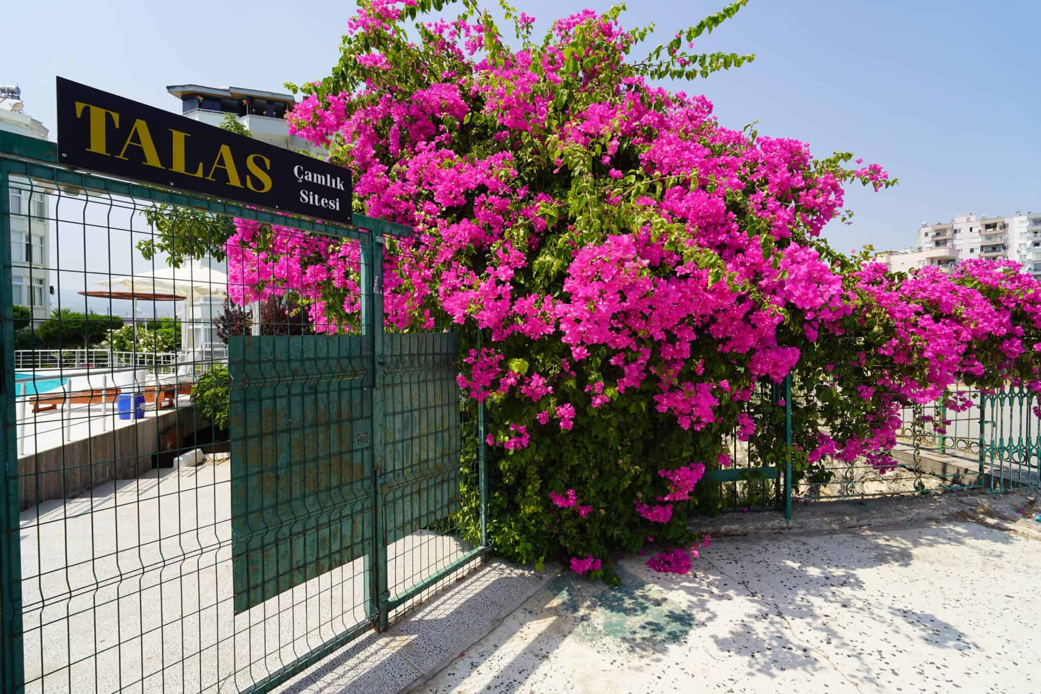 Mersin Erdemli  Denize Sıfır Talas Çamlık Sitesi 2+1 Satılık Yazlık 