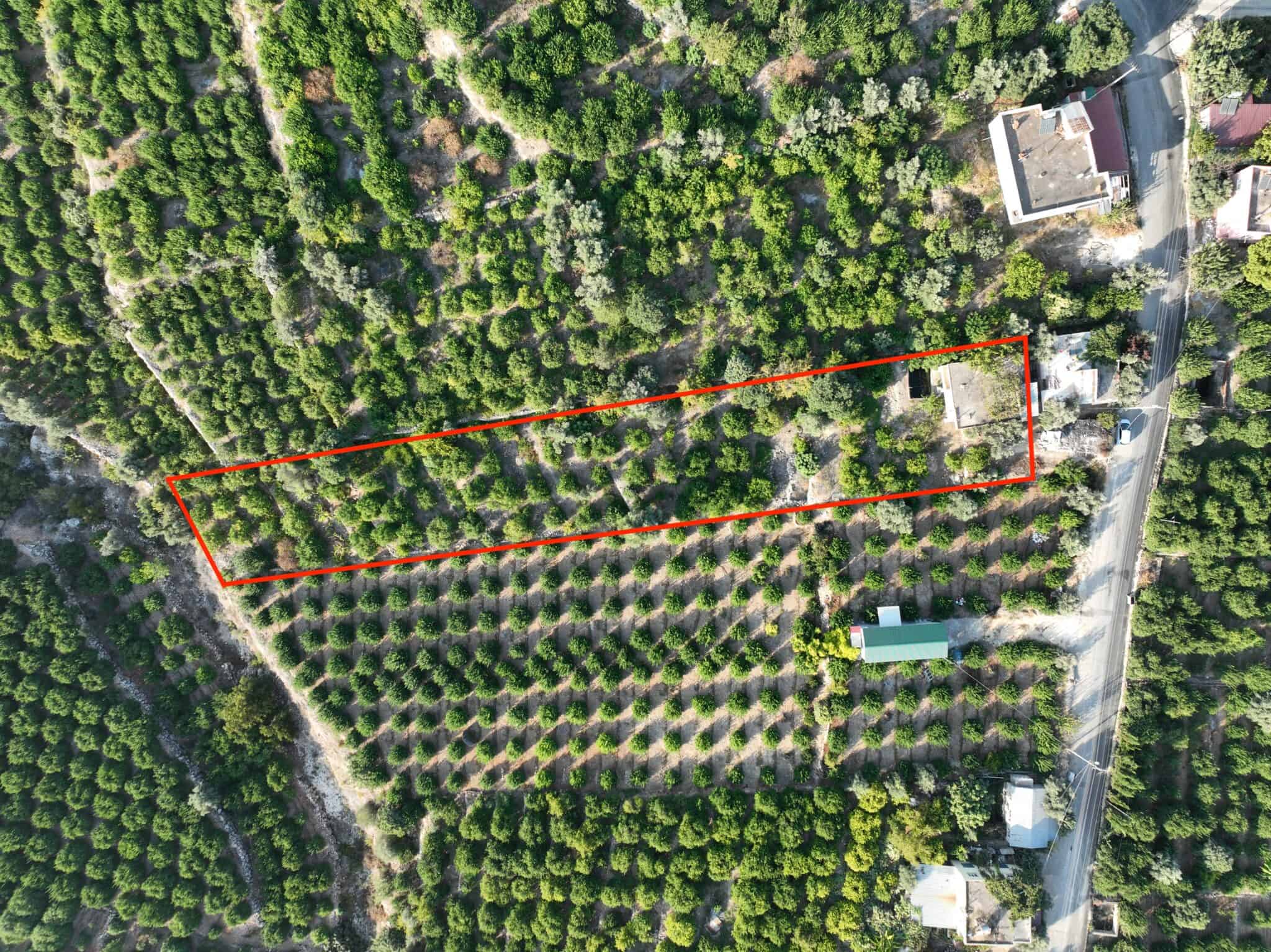 Appartement in Lemon Garden te koop in de wijk Mersin Erdemli Tabiye