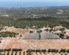 Mersin Erdemli Esenpınar Ağlıca Satılık Tarla